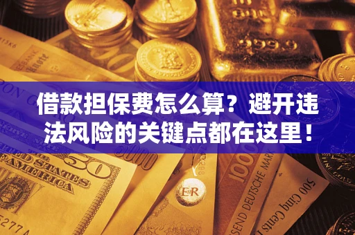 济南借款担保费怎么算？避开违法风险的关键点都在这里！