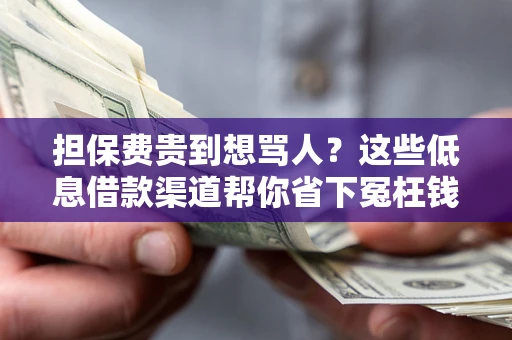 济南担保费贵到想骂人？这些低息借款渠道帮你省下冤枉钱