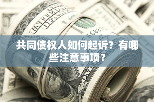 济南共同债权人如何起诉？有哪些注意事项？